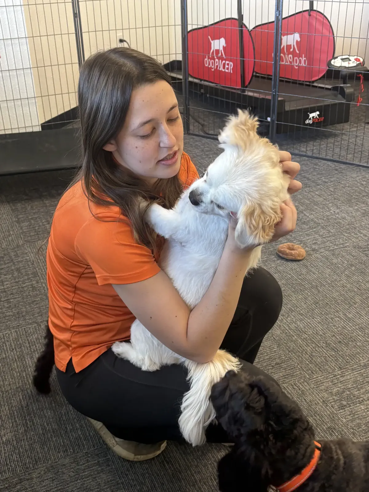 The Snuggle Den boarding suite for small dogs